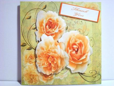 Roses, Butterflies and Swirls Step by Step by Jean-Marie Penny