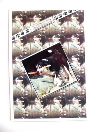 Happy Dog with Stick 3D Decoupage with Background by Jean-Marie Penny