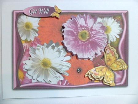 Daisy Pink and White by Jean-Marie Penny