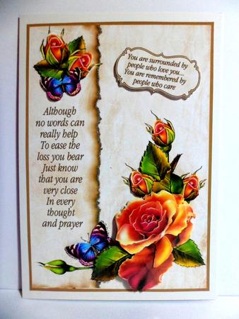 Rainbow Roses Sympathy by Jean-Marie Penny
