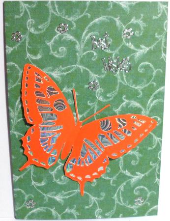 Butterfly 1 by Jean-Marie Penny