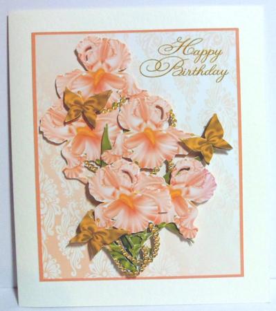 Peach Iris Step by Step by Jean-Marie Penny