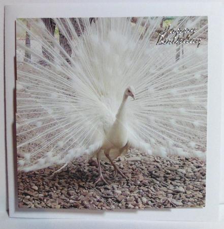 White Peacock Triangle Corner Stacker by Jean-Marie Penny
