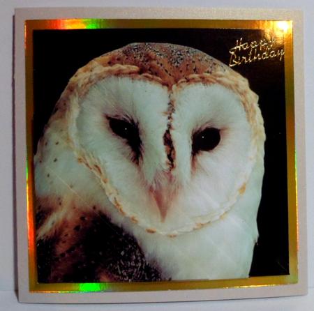 Barn Owl Triangle Corner Stacker by Jean-Marie Penny