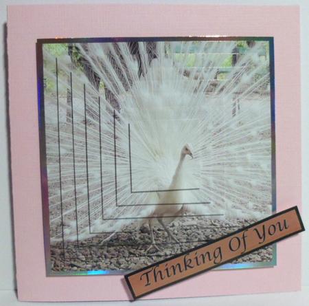 White Peacock Square Pyramid by Jean-Marie Penny