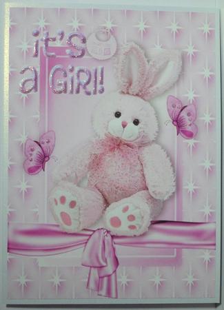 It's a Girl! with Fluffy Pink Bunny A4 by Jean-Marie Penny