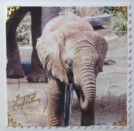 Baby Elephant Shell Edged Corner Stacker by Jean-Marie Penny
