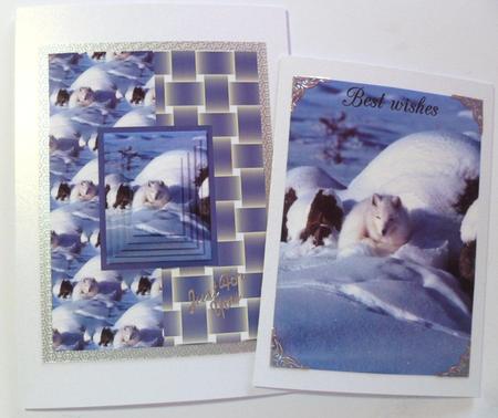 The Arctic Fox in the Snow by Jean-Marie Penny