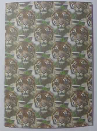 Tiger Background by Jean-Marie Penny
