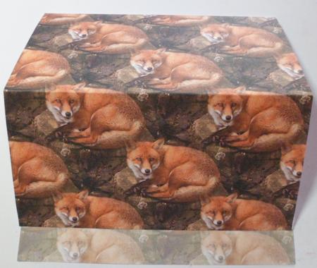 Fox Background by Jean-Marie Penny