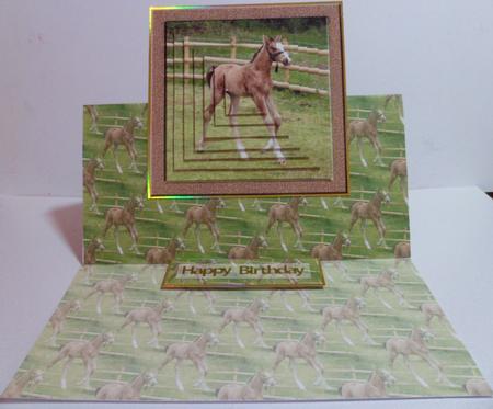 Biscuit the Foal by Jean-Marie Penny