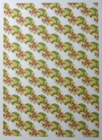12 A4 Oriental Lily Backgrounds by Jean-Marie Penny