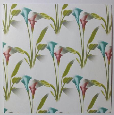 Calla Lily 2 Background by Jean-Marie Penny