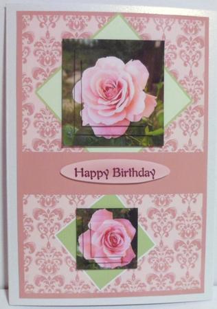 Pink Rose for Mums Birthday by Jean-Marie Penny
