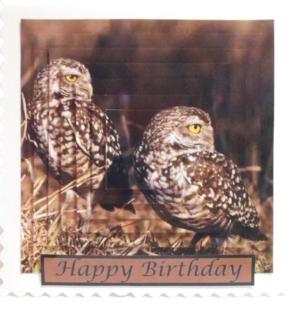 Burrowing Owls Square Pyramid by Jean-Marie Penny