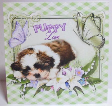 Puppy Love, Cute Little Puppy in Flower Frame by Jean-Marie Penny