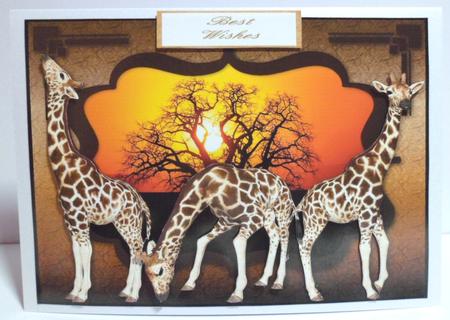 Africa - Giraffes by Jean-Marie Penny