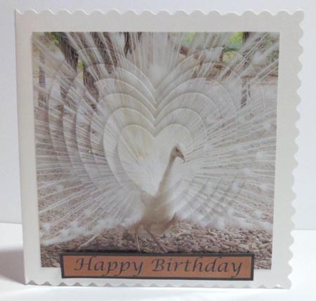 White Peacock Heart Shaped Pyramid by Jean-Marie Penny