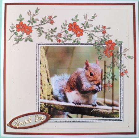 Squirill 8 X8 Card Kit by Jean-Marie Penny