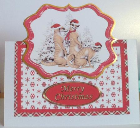Meercat's Christmas - Over the Edge by Jean-Marie Penny