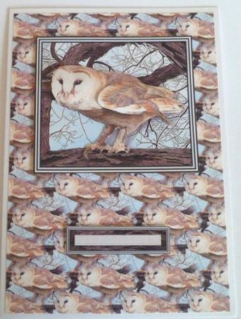 Barn Owl Tree Scene 3D Decoupage & Background by Jean-Marie Penny