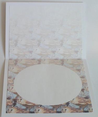 Barn Owl Tree Top Insert by Jean-Marie Penny