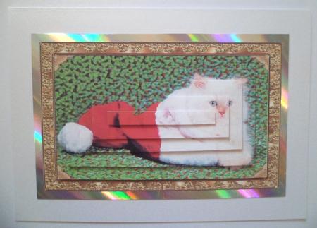 Christmas Cat by Jean-Marie Penny