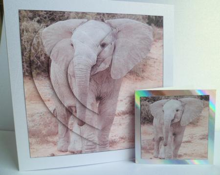 Cute Baby Elephant Heart Shaped Pyramid by Jean-Marie Penny