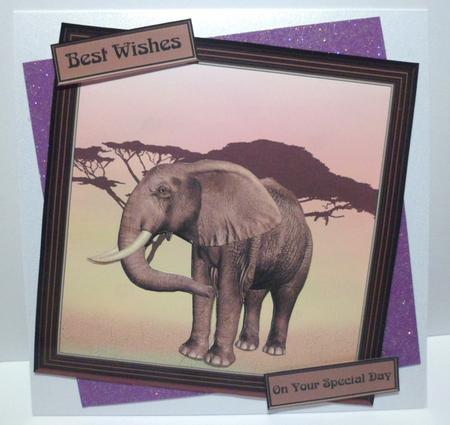 Wild Elephant Card Topper by Jean-Marie Penny