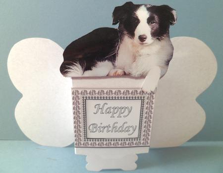 Border Collie Bone Shaped Card by Jean-Marie Penny