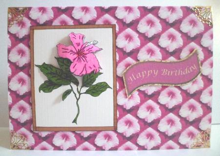 Framed Hibiscus with Decoupage Digi Stamps by Jean-Marie Penny