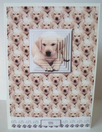 Golden Labrador Puppy Pyramid with Background by Jean-Marie Penny