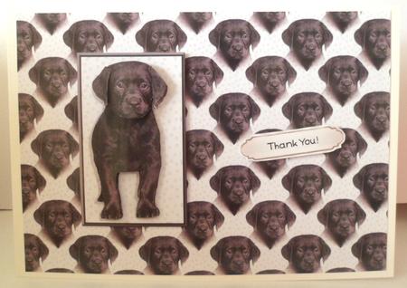 Black Labrador Puppy 3D Decoupage with Background by Jean-Marie Penny
