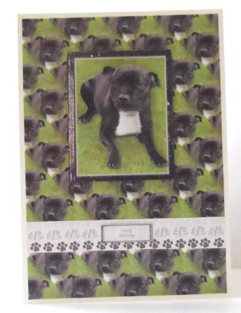 Staffordshire Bull Terrier 3D Decoupage with Background by Jean-Marie Penny