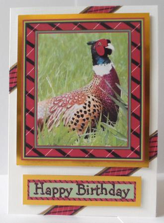 Pheasant Topper by Jean-Marie Penny