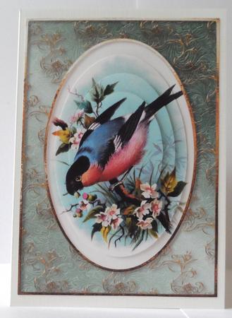 Colourful Bullfinch in a Golden Frame by Jean-Marie Penny