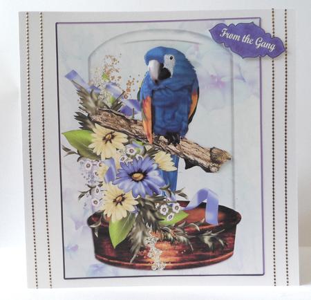 Polly Parrot Daisy & Glass Dome with Decoupage by Jean-Marie Penny