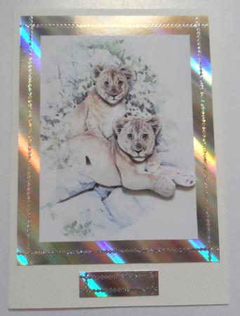Lion Cubs 3D Step by Step Decoupage by Jean-Marie Penny