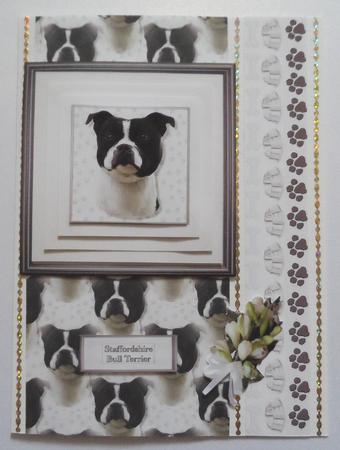 Staffordshire Bull Terrier,black & White Portrait Pyramid by Jean-Marie Penny