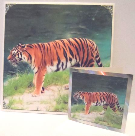 Tiger Topper by Jean-Marie Penny