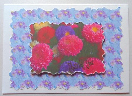 Asters - Set of 12 Backing Papers by Jean-Marie Penny