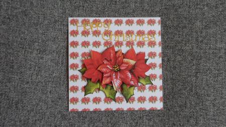 3D Poinsettia by Jean-Marie Penny