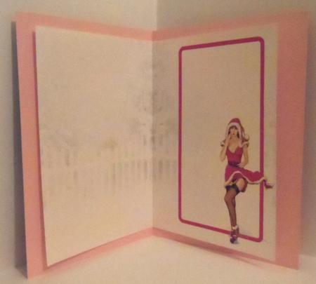 1950's Pin Up Girl Eva Grace Winter Wonderland Cerise Insert by Jean-Marie Penny