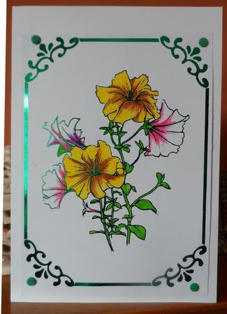 Digital Stamp - Petunias in Frame by Jean Pennington