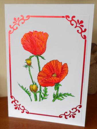 Digital Stamp - Poppies in Frame by Jean Pennington