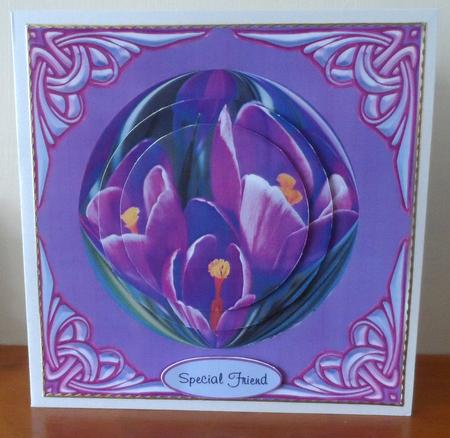 Crocus in Bloom by Jean Pennington