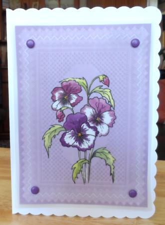 Digital Stamp Pansies with Coloured Version Too by Jean Pennington