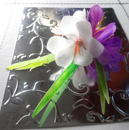 3D Freesias  by Jean Pennington