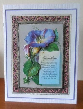 Christmas Morning Glory by Jean Pennington