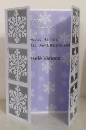 Frozen Snowflake Christmas Panelled Gatefold Card by Jean Pennington